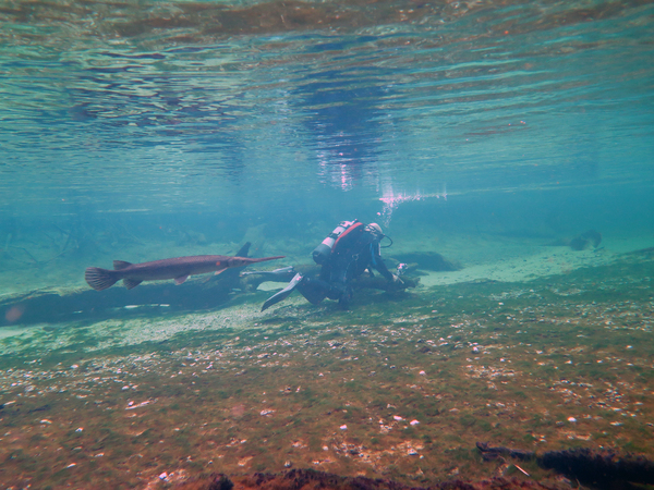 Dayo Scuba Center LLC, Orlando Florida www.dayo.com