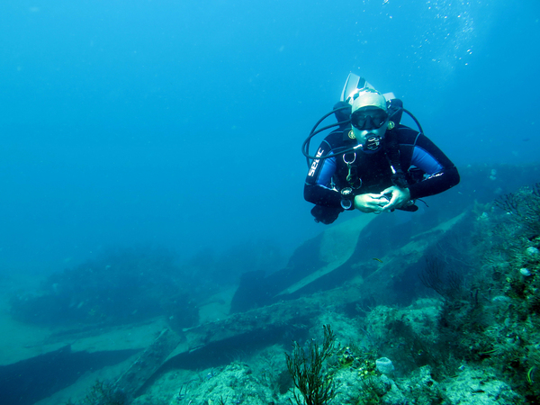 Dayo Scuba Center LLC, Orlando Florida www.dayo.com