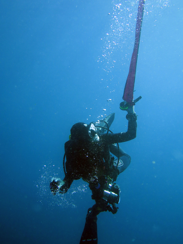 Dayo Scuba Center LLC, Orlando Florida www.dayo.com
