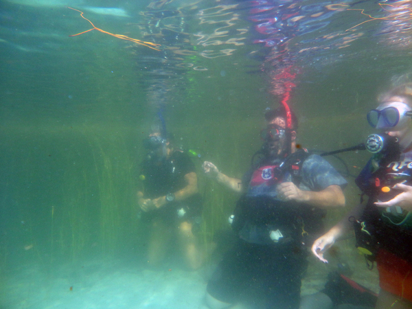 Dayo Scuba Center LLC, Orlando Florida www.dayo.com