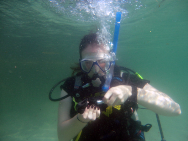 Dayo Scuba Center LLC, Orlando Florida www.dayo.com