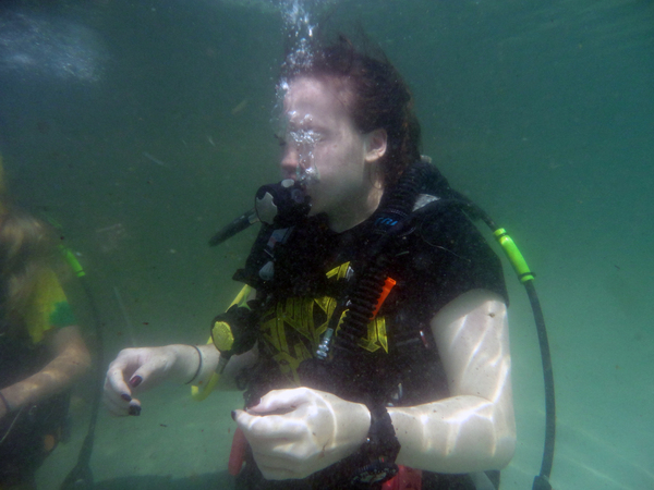 Dayo Scuba Center LLC, Orlando Florida www.dayo.com
