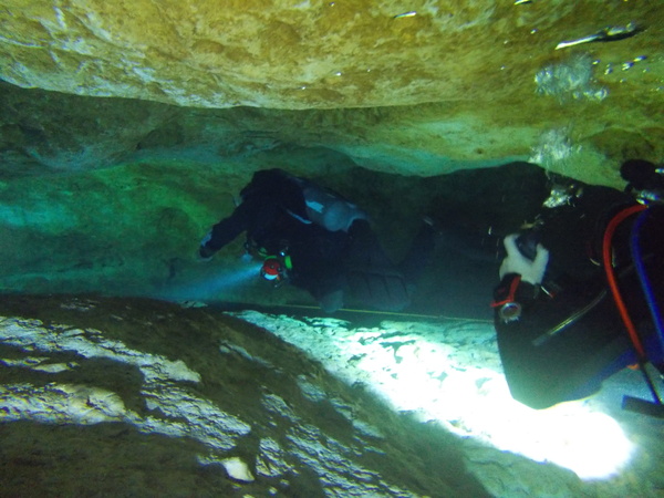 Dayo Scuba Center LLC, Orlando Florida www.dayo.com