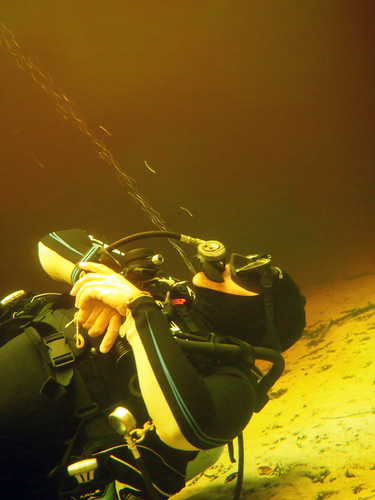 Dayo Scuba Center LLC, Orlando Florida www.dayo.com
