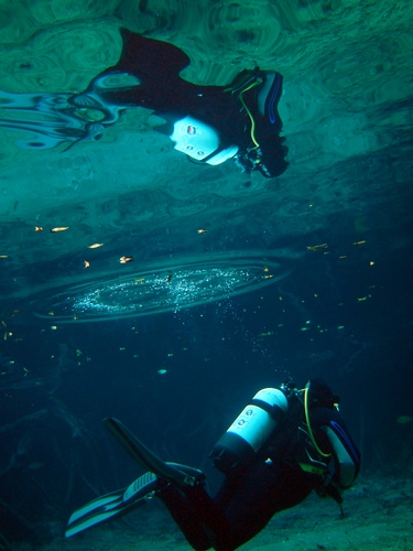 Dayo Scuba Center LLC, Orlando Florida www.dayo.com