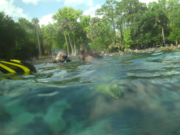 Dayo Scuba Center LLC, Orlando Florida www.dayo.com