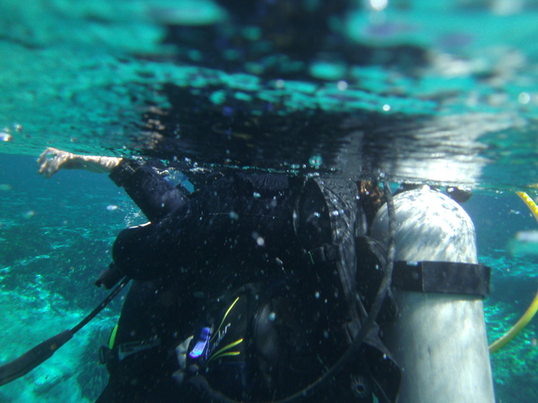 Dayo Scuba Center LLC, Orlando Florida www.dayo.com