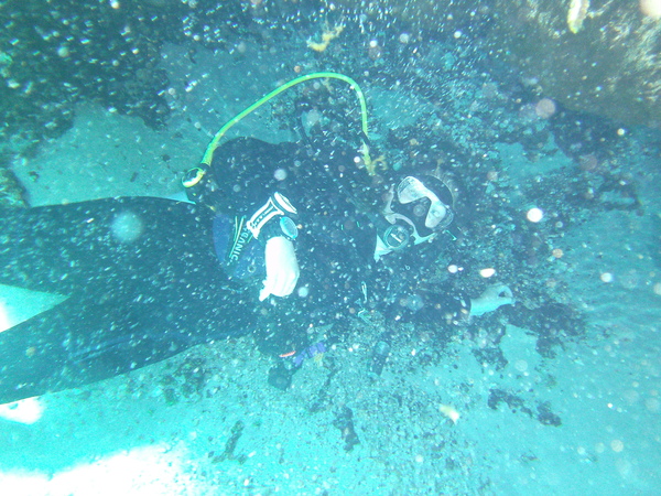 Dayo Scuba Center LLC, Orlando Florida www.dayo.com