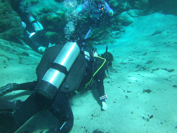 Dayo Scuba Center LLC, Orlando Florida www.dayo.com