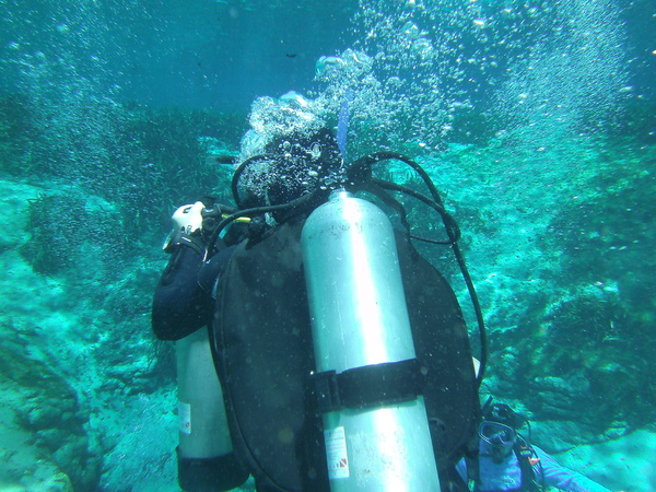 Dayo Scuba Center LLC, Orlando Florida www.dayo.com