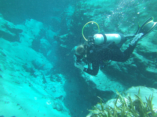 Dayo Scuba Center LLC, Orlando Florida www.dayo.com