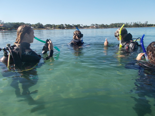 Dayo Scuba Center LLC, Orlando Florida www.dayo.com