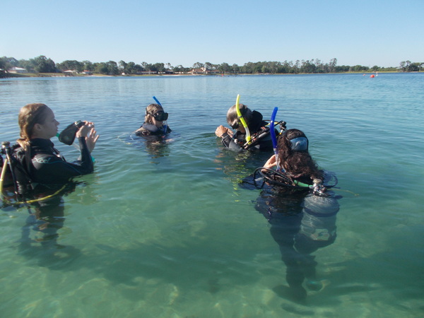 Dayo Scuba Center LLC, Orlando Florida www.dayo.com