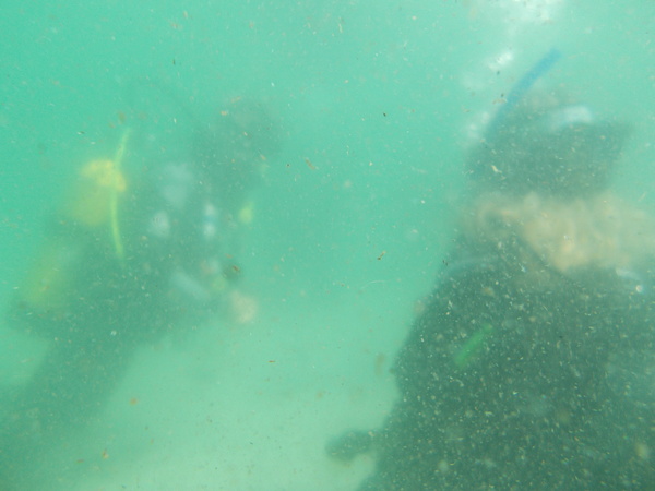 Dayo Scuba Center LLC, Orlando Florida www.dayo.com