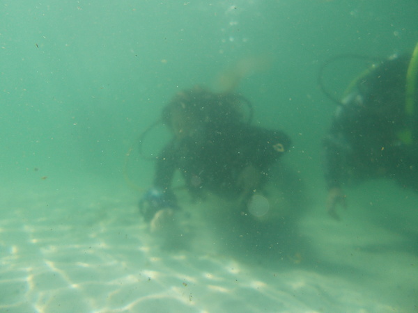 Dayo Scuba Center LLC, Orlando Florida www.dayo.com