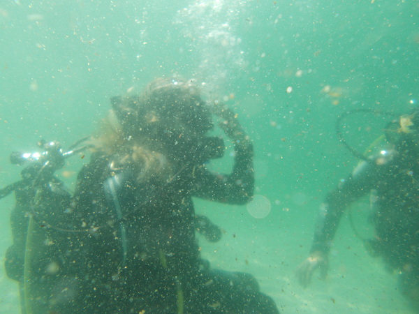 Dayo Scuba Center LLC, Orlando Florida www.dayo.com