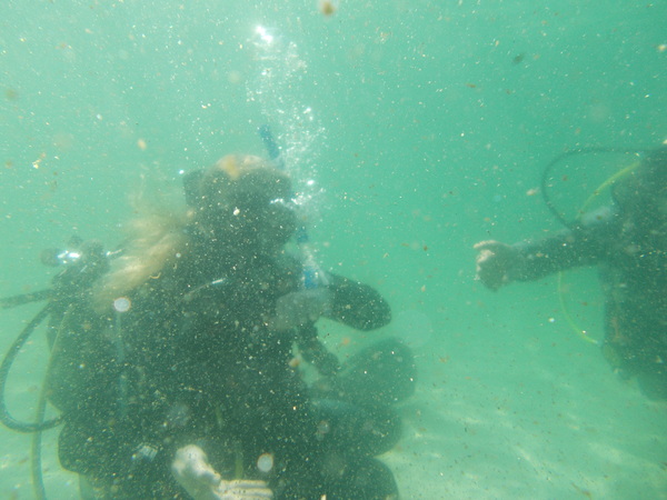 Dayo Scuba Center LLC, Orlando Florida www.dayo.com