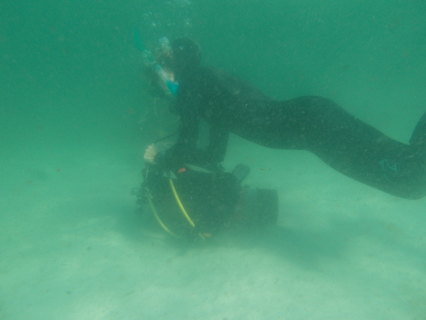 Dayo Scuba Center LLC, Orlando Florida www.dayo.com