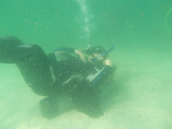 Dayo Scuba Center LLC, Orlando Florida www.dayo.com