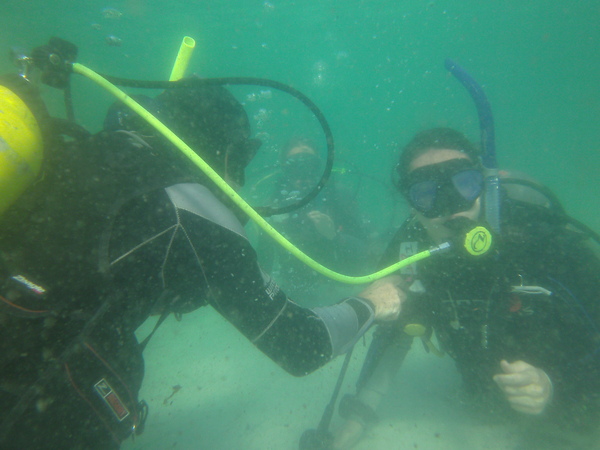 Dayo Scuba Center LLC, Orlando Florida www.dayo.com