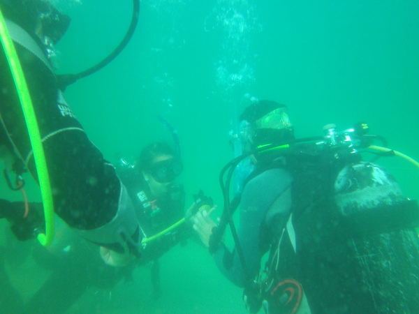 Dayo Scuba Center LLC, Orlando Florida www.dayo.com