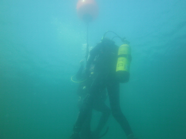 Dayo Scuba Center LLC, Orlando Florida www.dayo.com