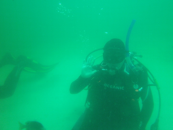 Dayo Scuba Center LLC, Orlando Florida www.dayo.com