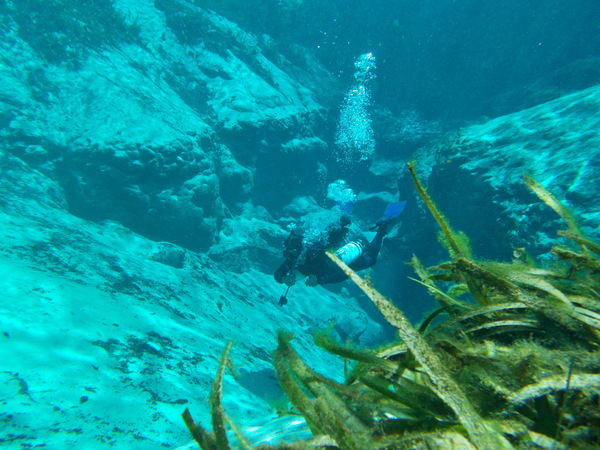 Dayo Scuba Center LLC, Orlando Florida www.dayo.com