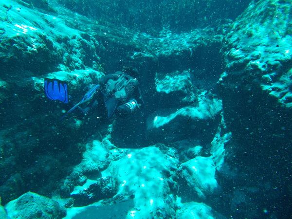 Dayo Scuba Center LLC, Orlando Florida www.dayo.com