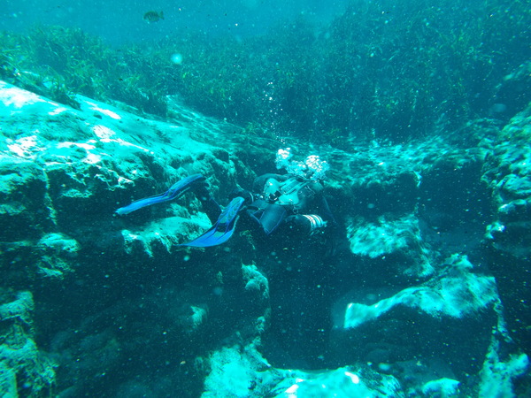 Dayo Scuba Center LLC, Orlando Florida www.dayo.com