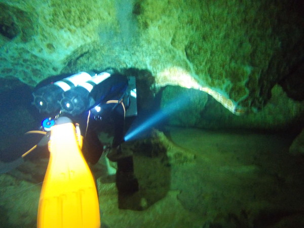 Dayo Scuba Center LLC, Orlando Florida www.dayo.com