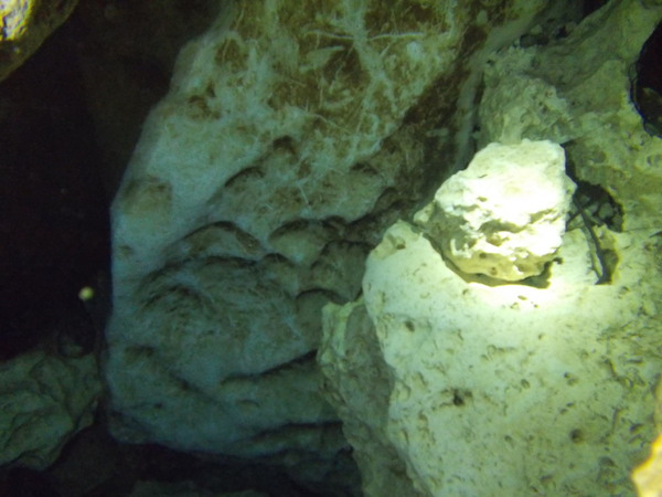 Dayo Scuba Center LLC, Orlando Florida www.dayo.com