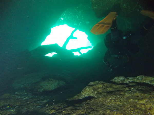 Dayo Scuba Center LLC, Orlando Florida www.dayo.com