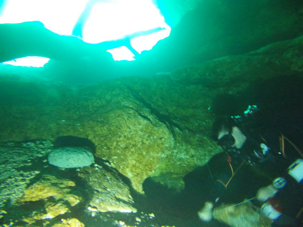 Dayo Scuba Center LLC, Orlando Florida www.dayo.com