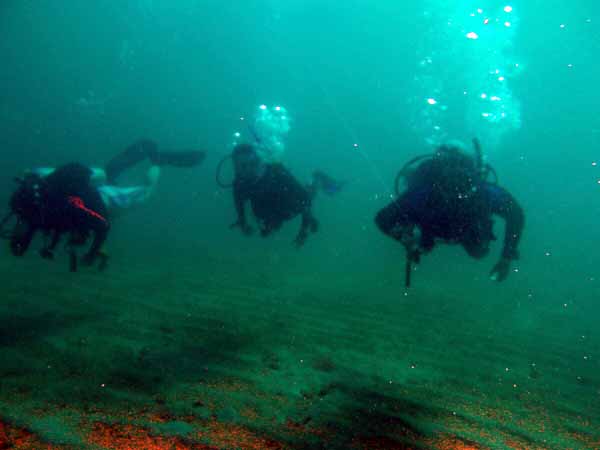 Dayo Scuba Center LLC, Orlando Florida www.dayo.com