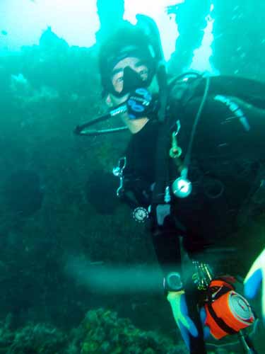 Dayo Scuba Center LLC, Orlando Florida www.dayo.com