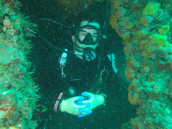 Dayo Scuba Center LLC, Orlando Florida www.dayo.com