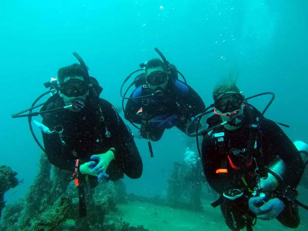 Dayo Scuba Center LLC, Orlando Florida www.dayo.com