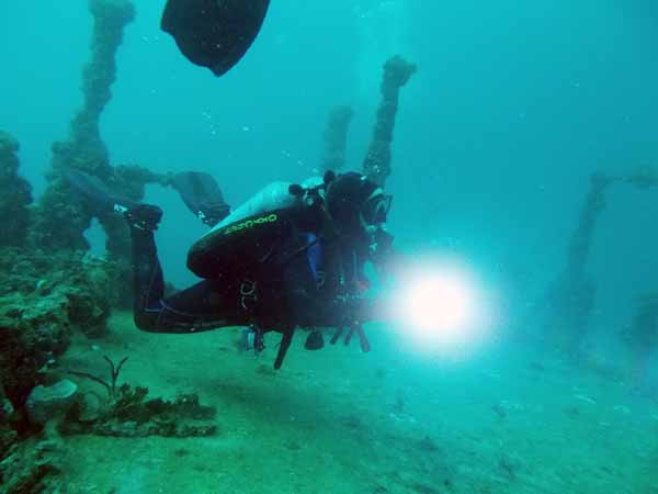 Dayo Scuba Center LLC, Orlando Florida www.dayo.com
