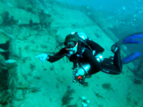 Dayo Scuba Center LLC, Orlando Florida www.dayo.com