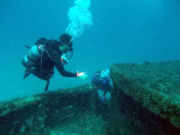Dayo Scuba Center LLC, Orlando Florida www.dayo.com