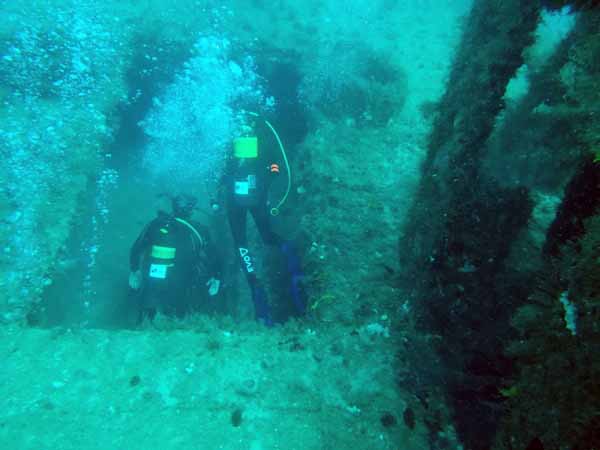 Dayo Scuba Center LLC, Orlando Florida www.dayo.com