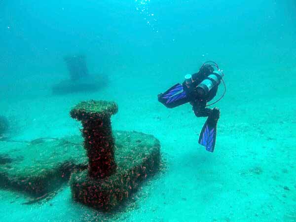 Dayo Scuba Center LLC, Orlando Florida www.dayo.com