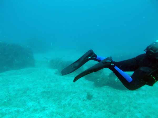 Dayo Scuba Center LLC, Orlando Florida www.dayo.com
