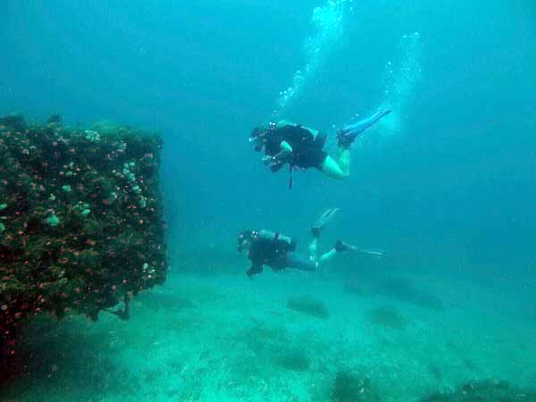 Dayo Scuba Center LLC, Orlando Florida www.dayo.com
