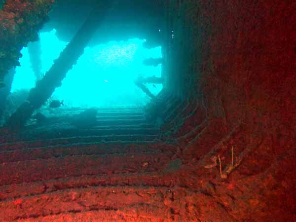 Dayo Scuba Center LLC, Orlando Florida www.dayo.com
