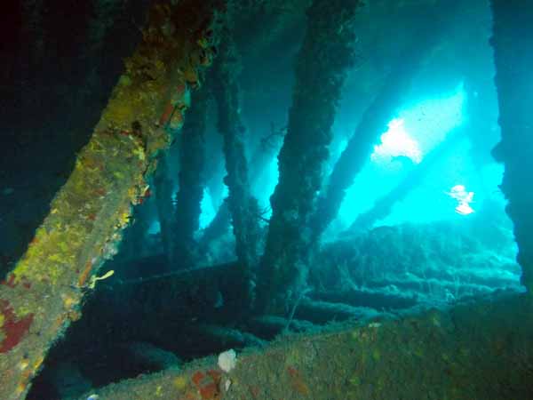 Dayo Scuba Center LLC, Orlando Florida www.dayo.com