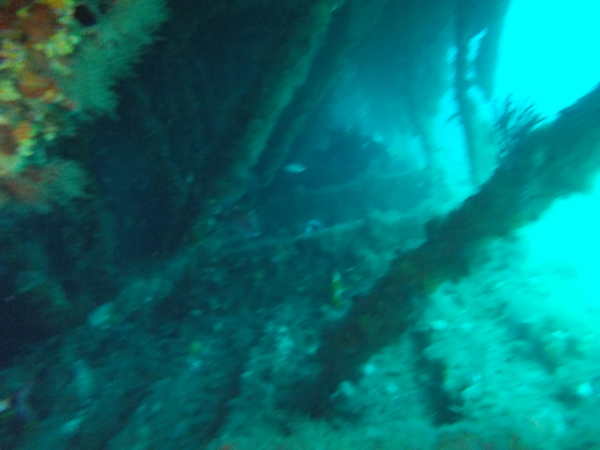 Dayo Scuba Center LLC, Orlando Florida www.dayo.com