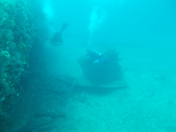Dayo Scuba Center LLC, Orlando Florida www.dayo.com