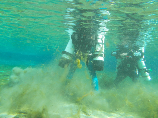 Dayo Scuba Center LLC, Orlando Florida www.dayo.com